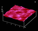 AFM Image