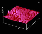 AFM Image