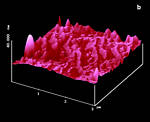 AFM Image