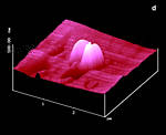 AFM Image