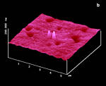 AFM Image