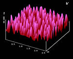 AFM Image (Zoom)