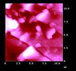 AFM Image