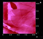 AFM Image