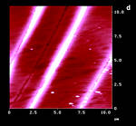 AFM Image