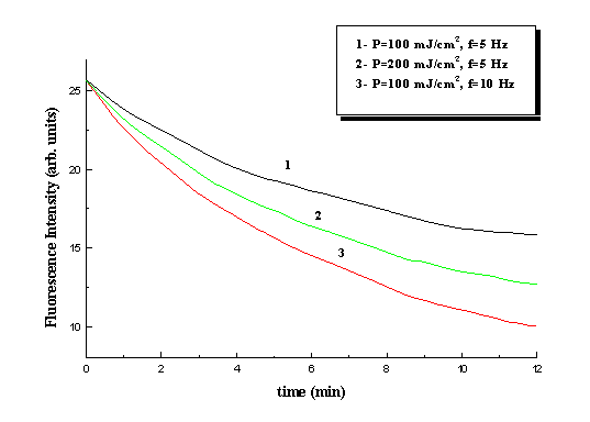 Kinetics of collagen fluorescence photobleaching