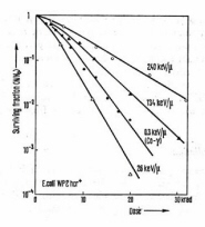 fig 13.jpg (16895 bytes)