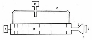 fig 5.jpg (11945 bytes)