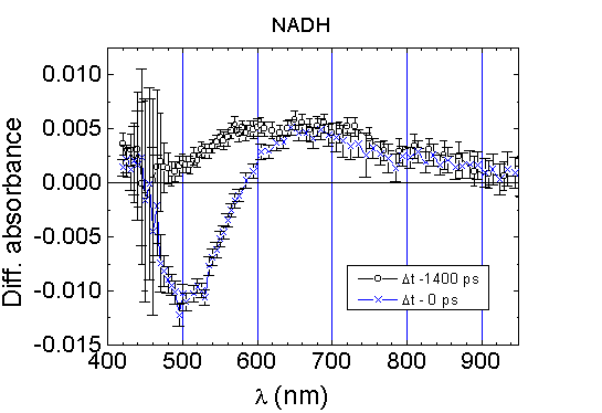 fig3.gif (8508 bytes)