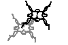 Investigation of protonation properties