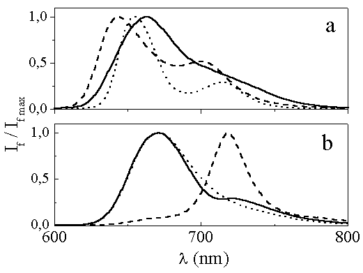 Fig.7
