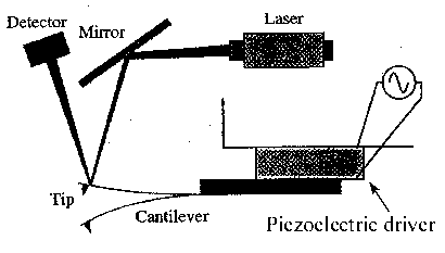 afm.gif (3182 bytes)