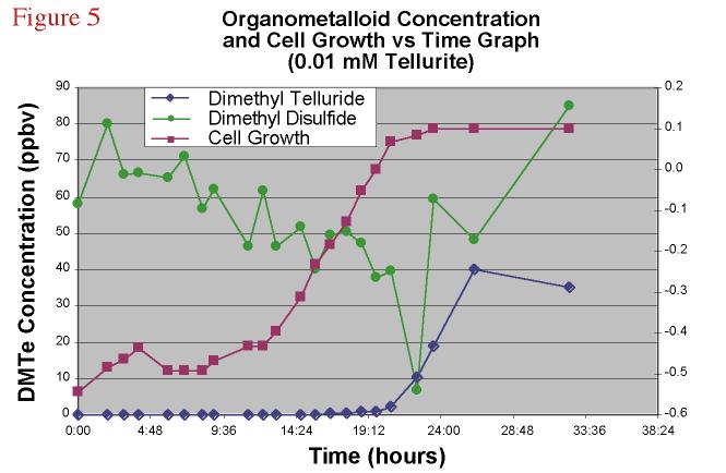 Figure 5 Time Course 0.01 mM Tellurite