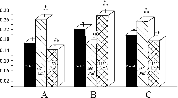 fig2.gif (9183 bytes)