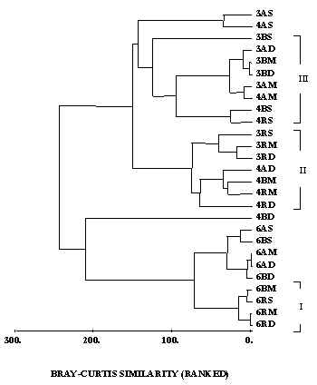 wpeD.jpg (15327 bytes)