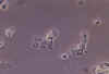 a02b120x copy.jpg (37246 bytes)