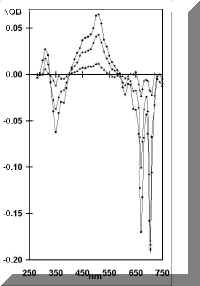 figure1.bmp (73502 bytes)
