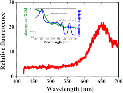 image10.gif (10784 bytes)