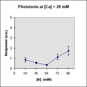 R vs k at Ca= 28 mM, JPEG, (8676 bytes)