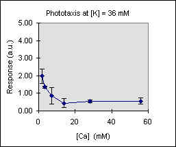 R vs Ca at K= 36 mM, JPEG, (7816 bytes)