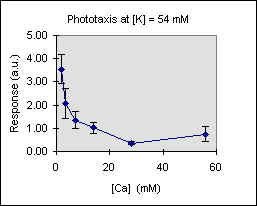R vs Ca at K= 54 mM, JPEG, (7935 bytes)